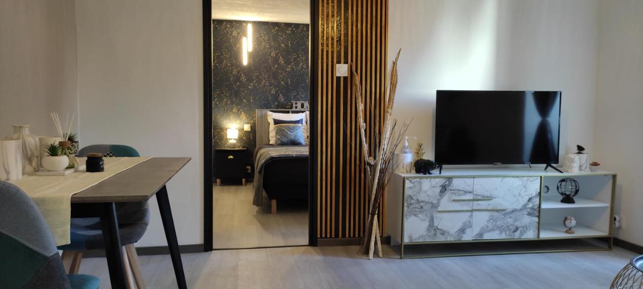 Les Souvenirs D'Alsace Apartment กอลมาร์ ภายนอก รูปภาพ